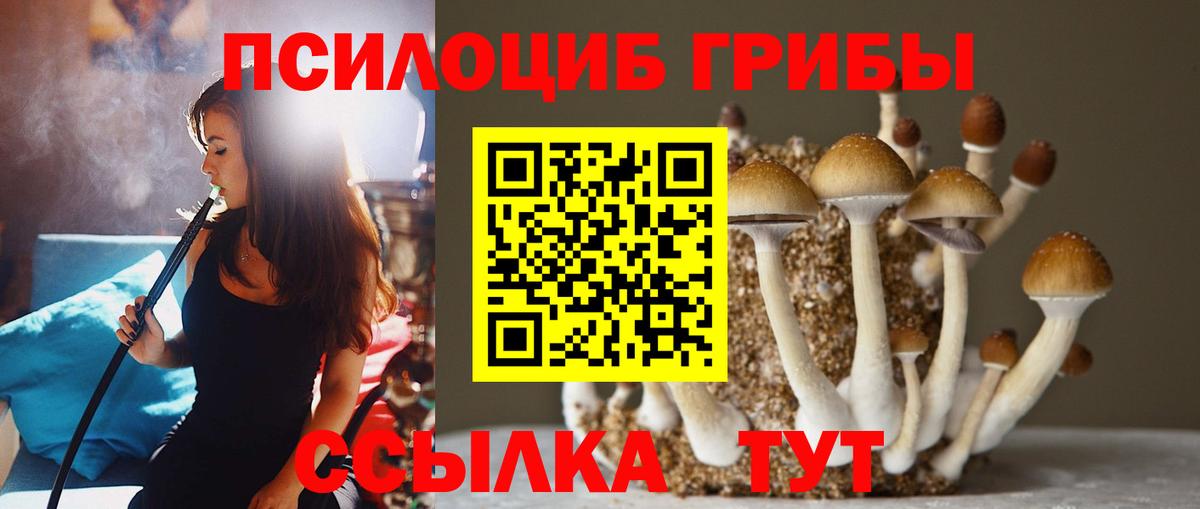Галлюциногенные грибы мухоморы Десногорск